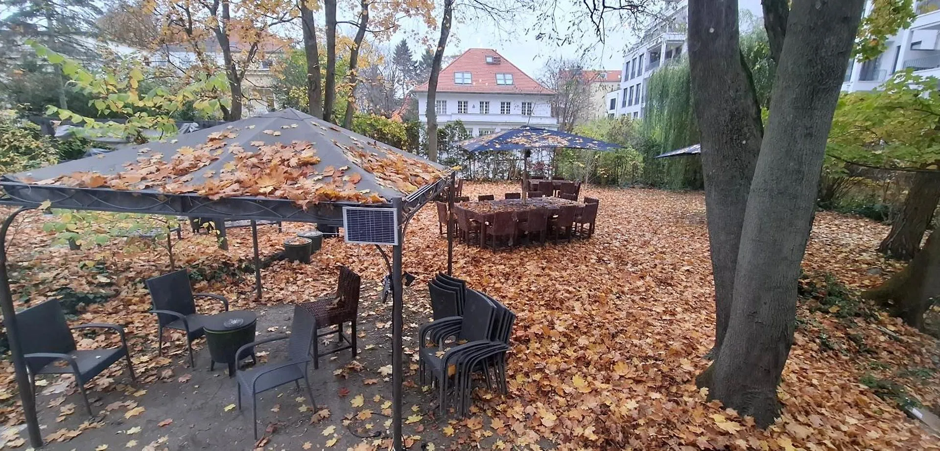 Bed and Breakfast King David Garden Berlin Deutschland