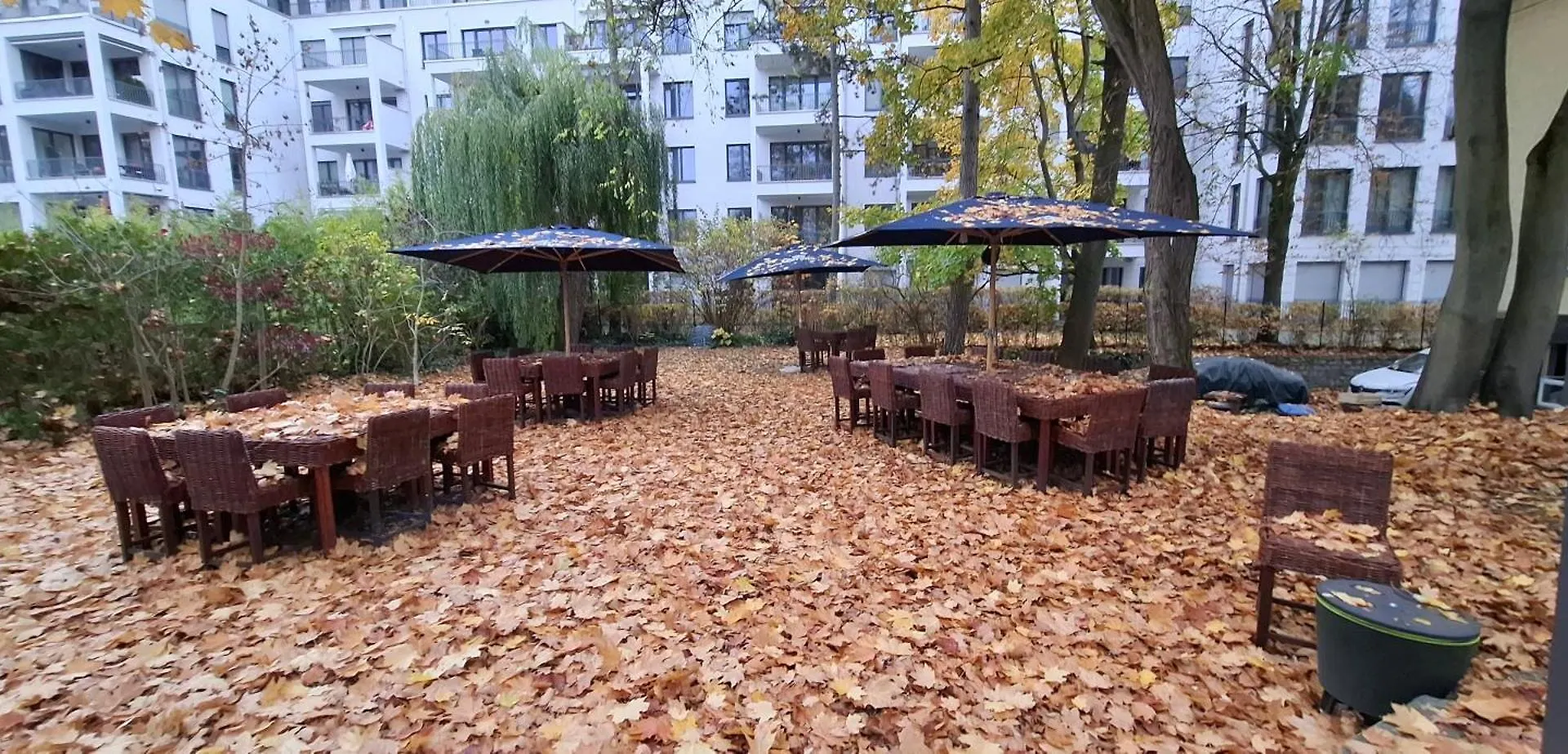 Bed & Breakfast King David Garden Bed and Breakfast Berlin