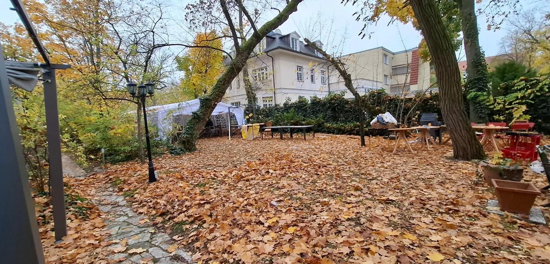 柏林King David Garden住宿加早餐旅馆 0*, 柏林 德国