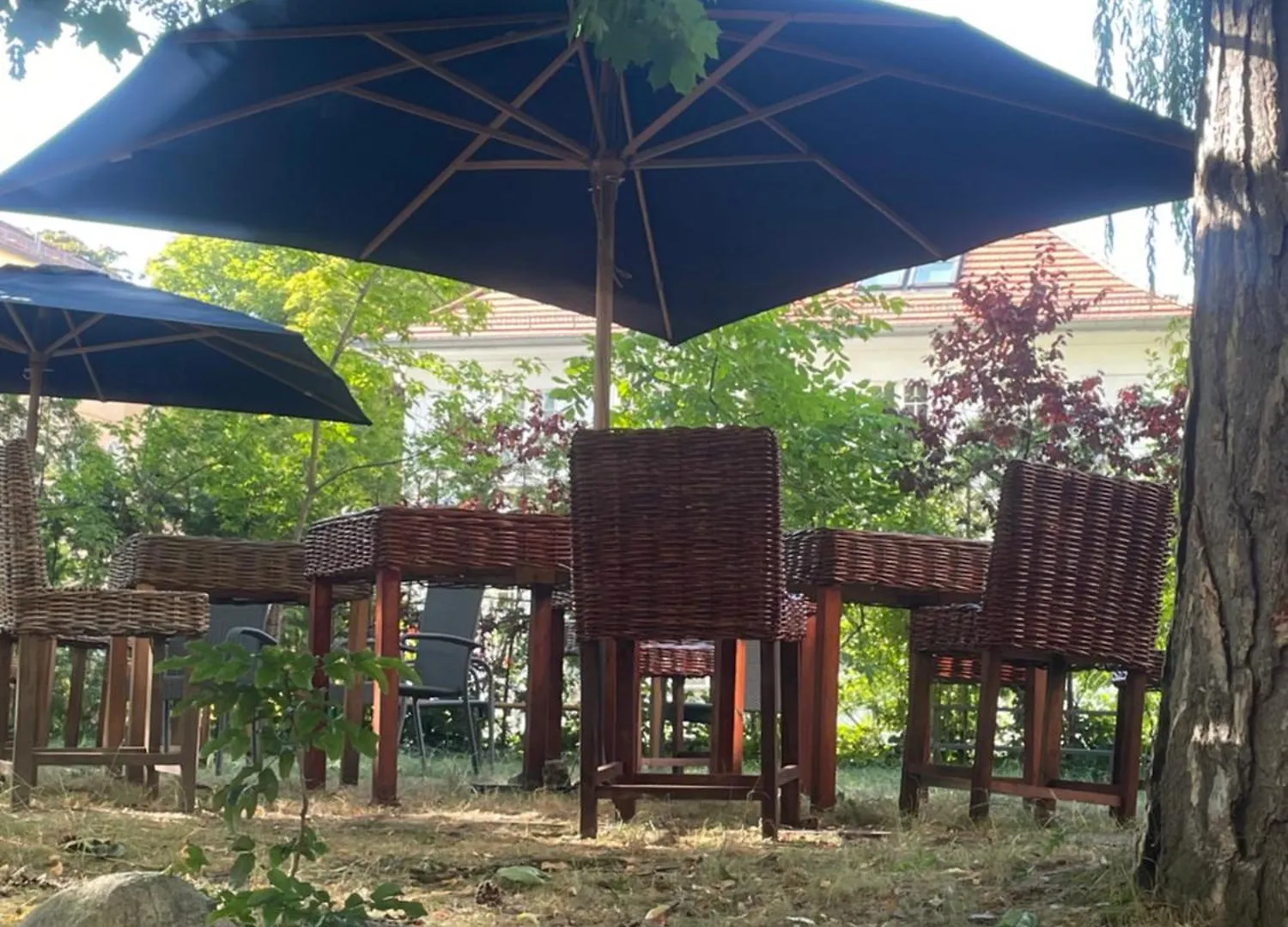 Bed & Breakfast King David Garden Bed and Breakfast Berlin Tyskland
